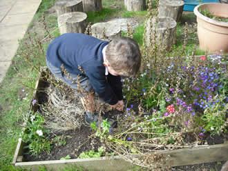 gardening